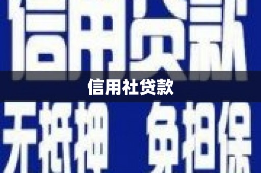 巧家信用社贷款