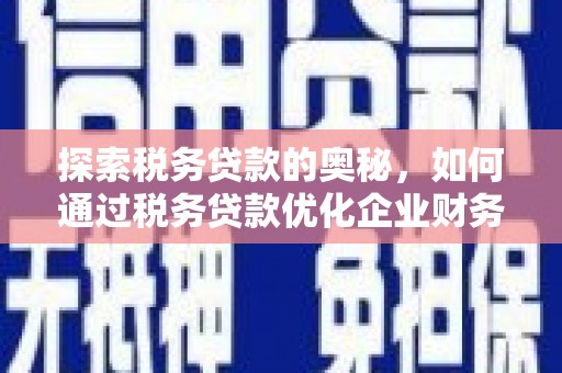 巧家探索税务贷款的奥秘，如何通过税务贷款优化企业财务
