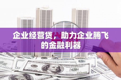 巧家企业经营贷，助力企业腾飞的金融利器