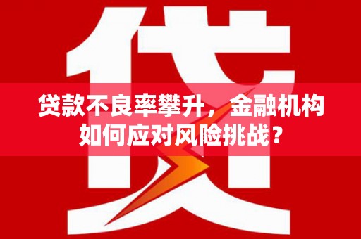 巧家贷款不良率攀升，金融机构如何应对风险挑战？
