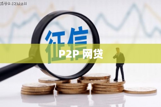 巧家P2P 网贷
