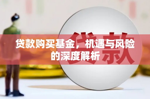 巧家贷款购买基金，机遇与风险的深度解析