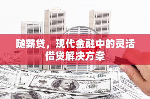 巧家随薪贷，现代金融中的灵活借贷解决方案