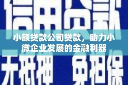 巧家小额贷款公司贷款，助力小微企业发展的金融利器