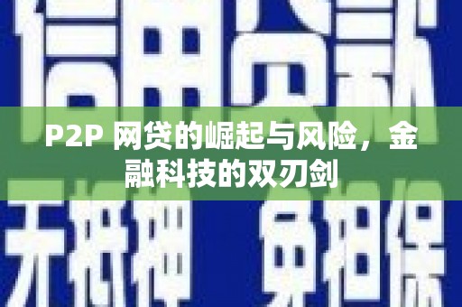 巧家P2P 网贷的崛起与风险，金融科技的双刃剑