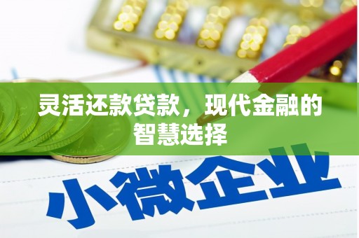 巧家灵活还款贷款，现代金融的智慧选择