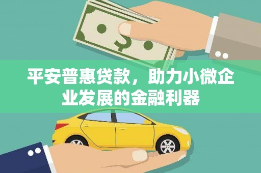 巧家平安普惠贷款，助力小微企业发展的金融利器