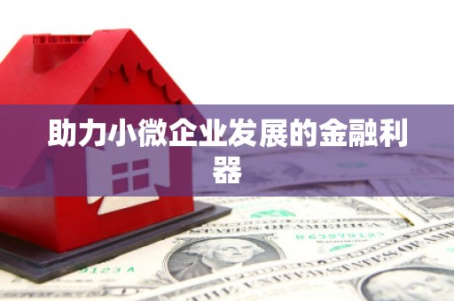 巧家助力小微企业发展的金融利器