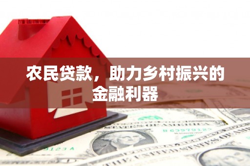 巧家农民贷款，助力乡村振兴的金融利器