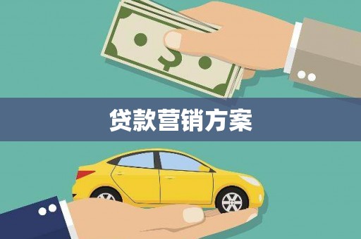 巧家贷款营销方案
