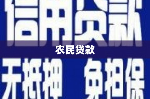 巧家农民贷款