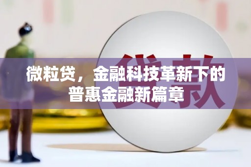 巧家微粒贷，金融科技革新下的普惠金融新篇章