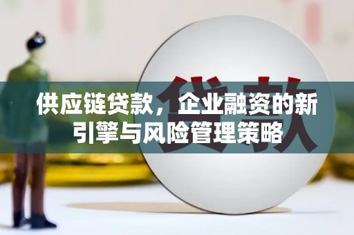 巧家供应链贷款，企业融资的新引擎与风险管理策略