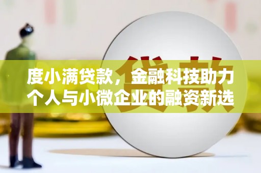 巧家度小满贷款，金融科技助力个人与小微企业的融资新选择