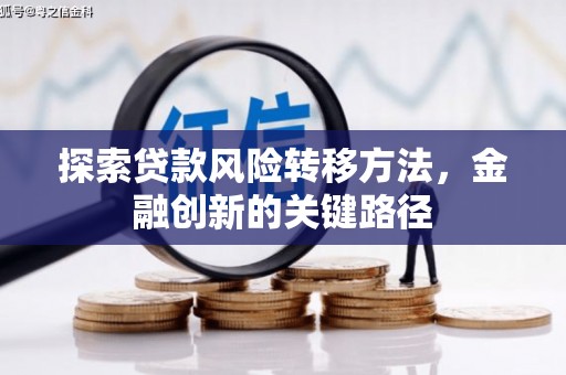 巧家探索贷款风险转移方法，金融创新的关键路径
