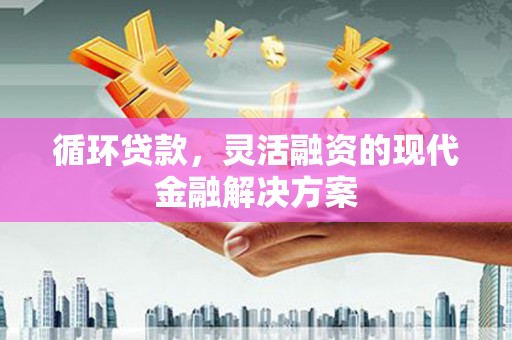 巧家循环贷款，灵活融资的现代金融解决方案