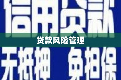 巧家贷款风险管理