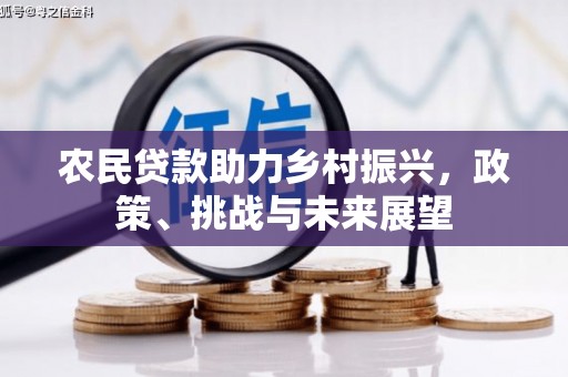 巧家农民贷款助力乡村振兴，政策、挑战与未来展望