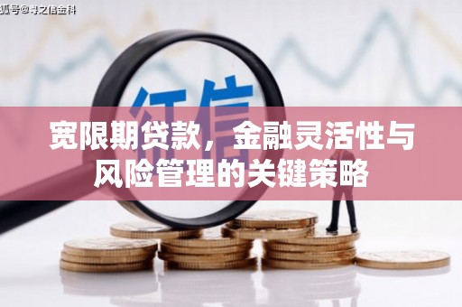 巧家宽限期贷款，金融灵活性与风险管理的关键策略