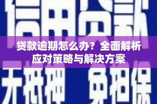 巧家贷款逾期怎么办？全面解析应对策略与解决方案