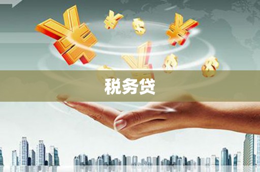 巧家税务贷
