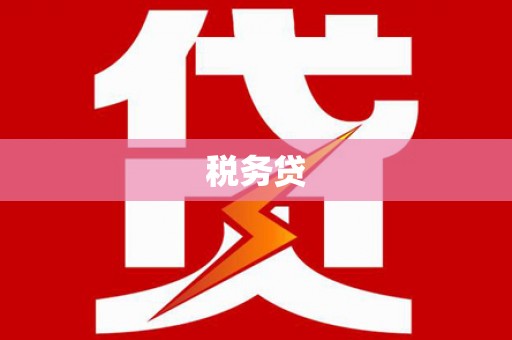 巧家税务贷