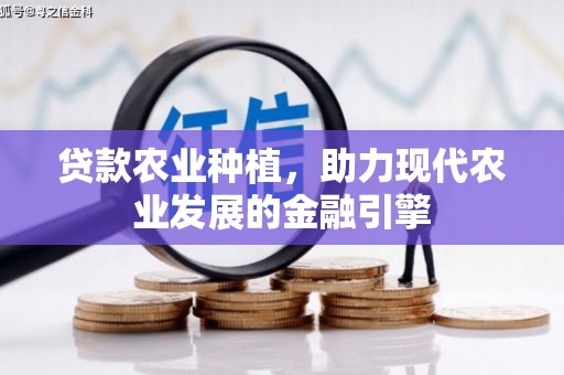 巧家贷款农业种植，助力现代农业发展的金融引擎