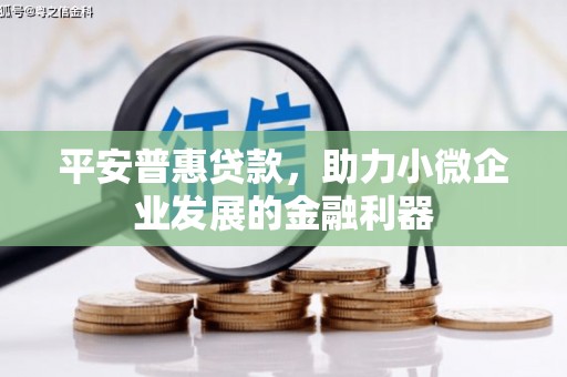 巧家平安普惠贷款，助力小微企业发展的金融利器