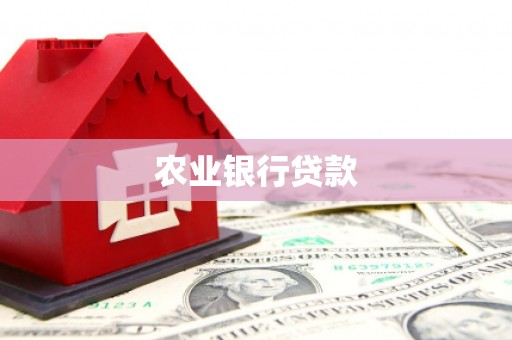 巧家农业银行贷款