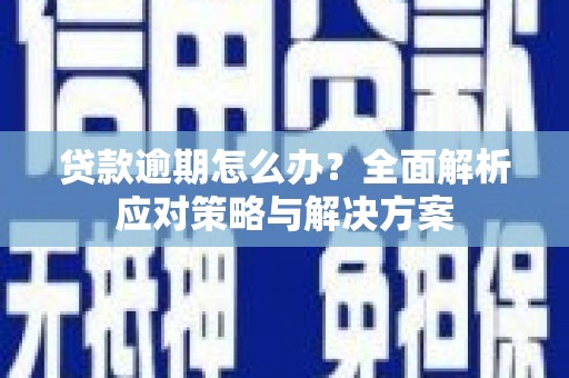 巧家贷款逾期怎么办？全面解析应对策略与解决方案