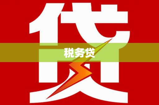 巧家税务贷
