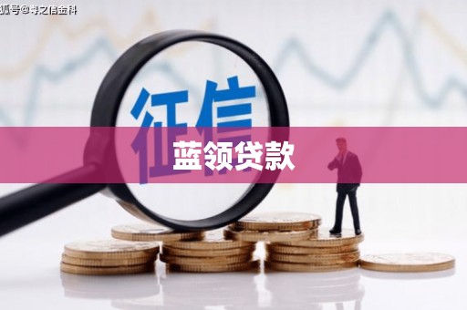 巧家蓝领贷款