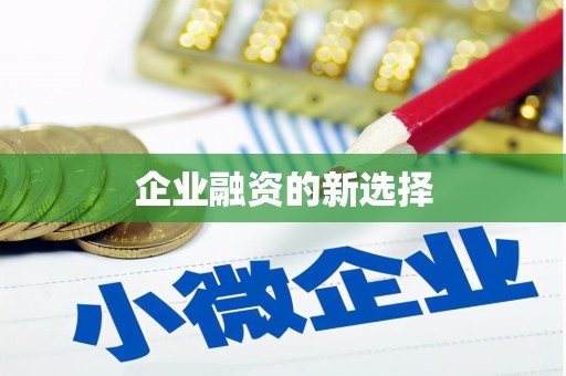 巧家企业融资的新选择