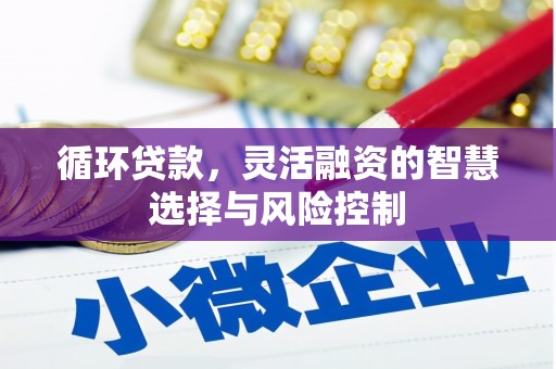 巧家循环贷款，灵活融资的智慧选择与风险控制