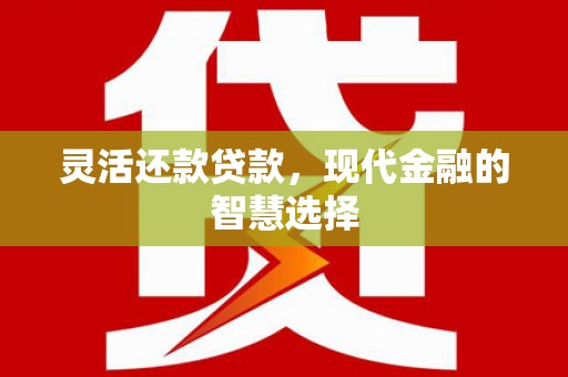 巧家灵活还款贷款，现代金融的智慧选择