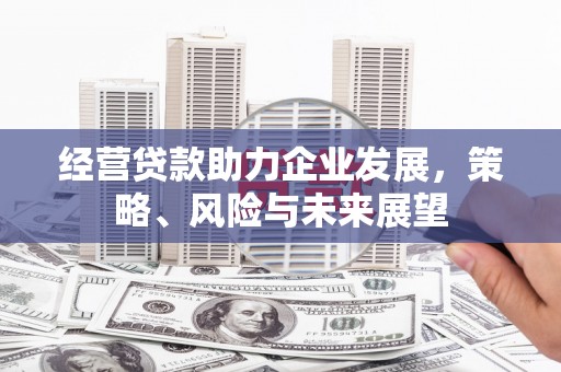 巧家经营贷款助力企业发展，策略、风险与未来展望