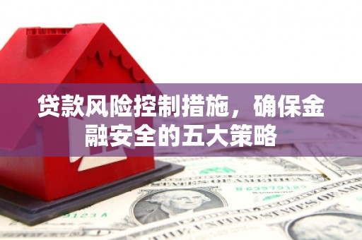 巧家贷款风险控制措施，确保金融安全的五大策略