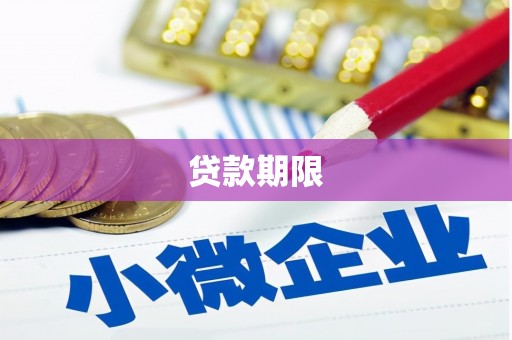 巧家贷款期限