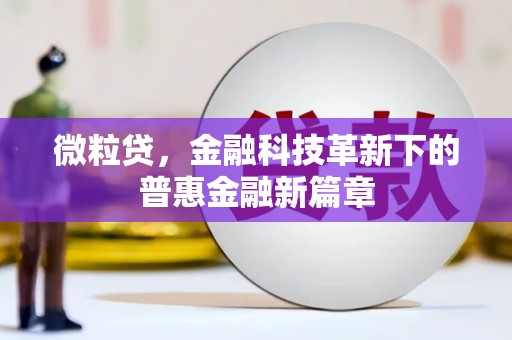 巧家微粒贷，金融科技革新下的普惠金融新篇章
