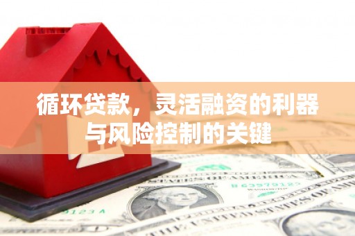 巧家循环贷款，灵活融资的利器与风险控制的关键