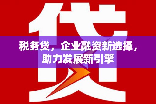 巧家税务贷，企业融资新选择，助力发展新引擎