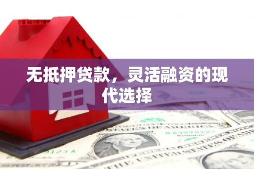 巧家无抵押贷款，灵活融资的现代选择