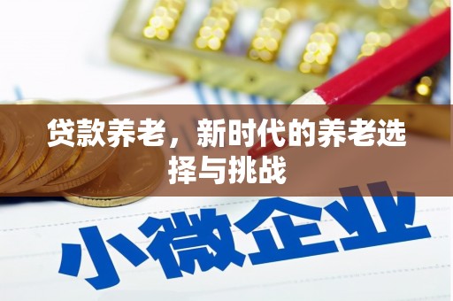 巧家贷款养老，新时代的养老选择与挑战