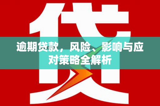 巧家逾期贷款，风险、影响与应对策略全解析