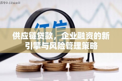 巧家供应链贷款，企业融资的新引擎与风险管理策略
