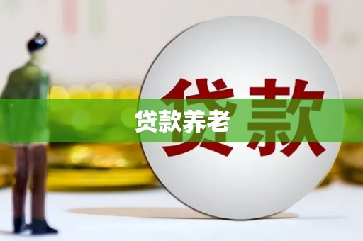 巧家贷款养老