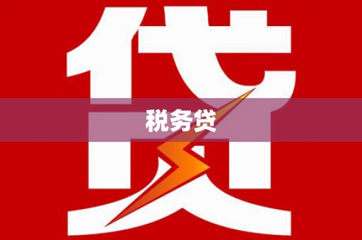 巧家税务贷