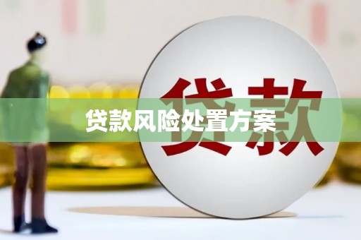 巧家贷款风险处置方案