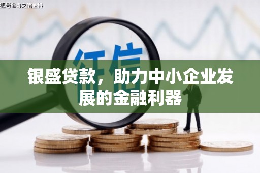 巧家银盛贷款，助力中小企业发展的金融利器