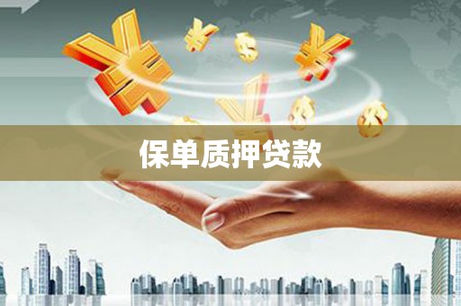 巧家保单质押贷款